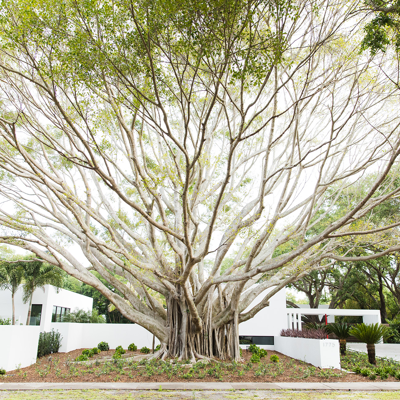 Cherokee Park is one of Sarasota's most historic neighborhoods