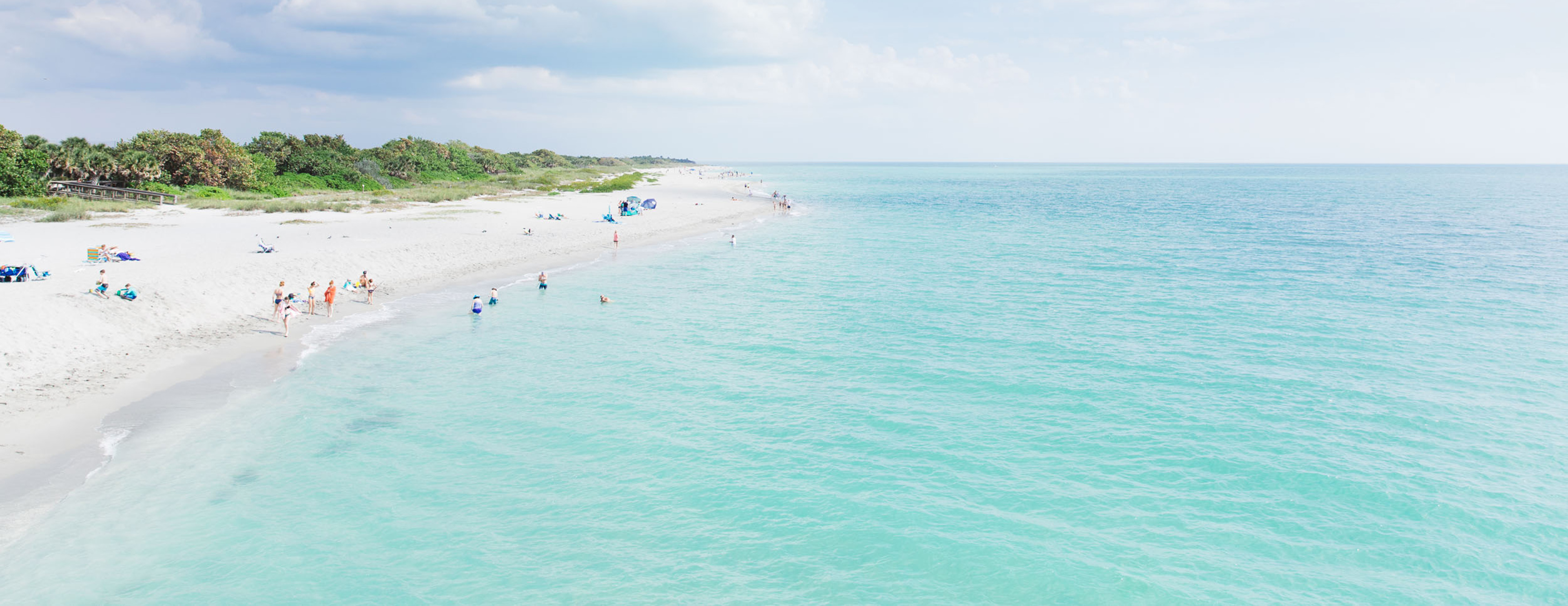 Beautiful Venice Beach - Venice Florida