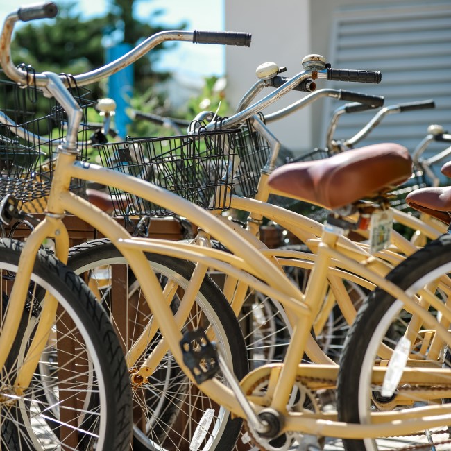 bicycles on Anna Maria Island