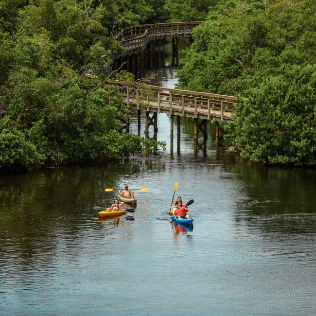 Kayaking in Bradenton Florida