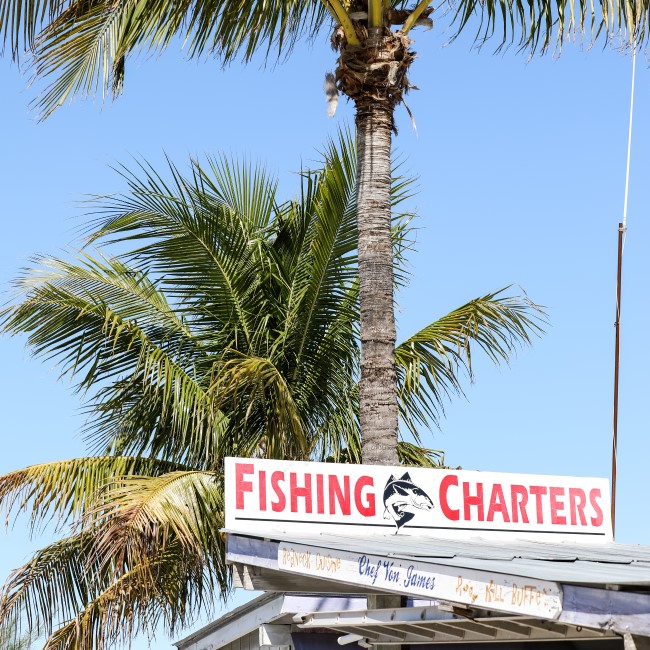 Sign for fishing charters & palm trees